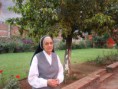 /album/fotogaleria-jardin/instalaciones-004-jpg/